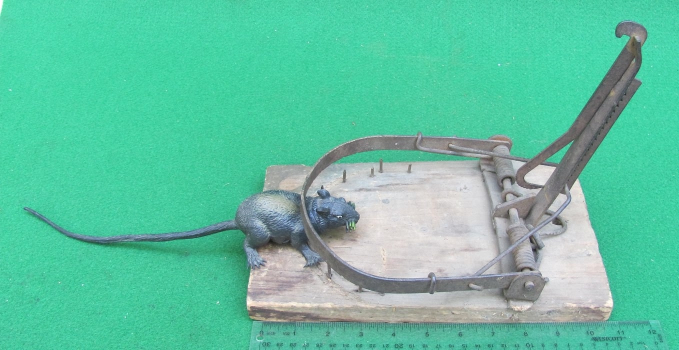 6ct Victor Tin Cat Mouse Trap Humane Catch and Release, Golden Valley  Auction #17 -  and Target Shelf Pulls and Returns, In Date and Past  Date Snacks, plus MORE!