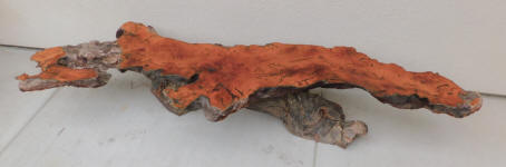 Redwood Burl Accent Table Plant Stand or Coffee Table